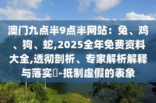 澳門(mén)九點(diǎn)半9點(diǎn)半網(wǎng)站：兔、雞、狗、蛇,2025全年免費(fèi)資料大全,透徹剖析、專家解析解釋與落實(shí)?-抵制虛假的表象